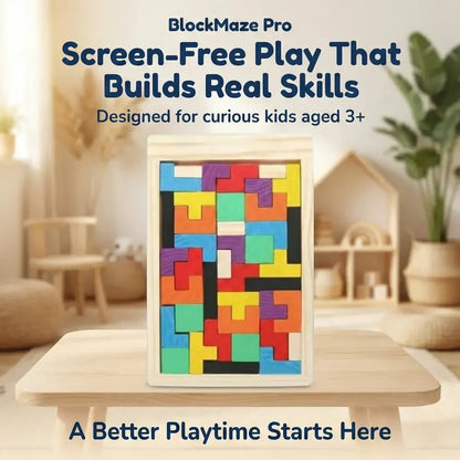 BlockMaze Pro - PlayAlaab